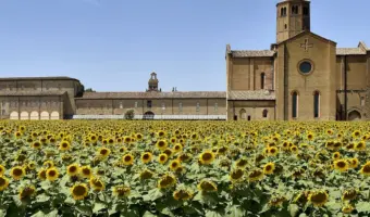 LA SEDUZIONE DELLA LEGALITÀ