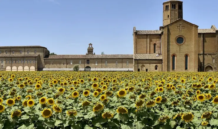 LA SEDUZIONE DELLA LEGALITÀ