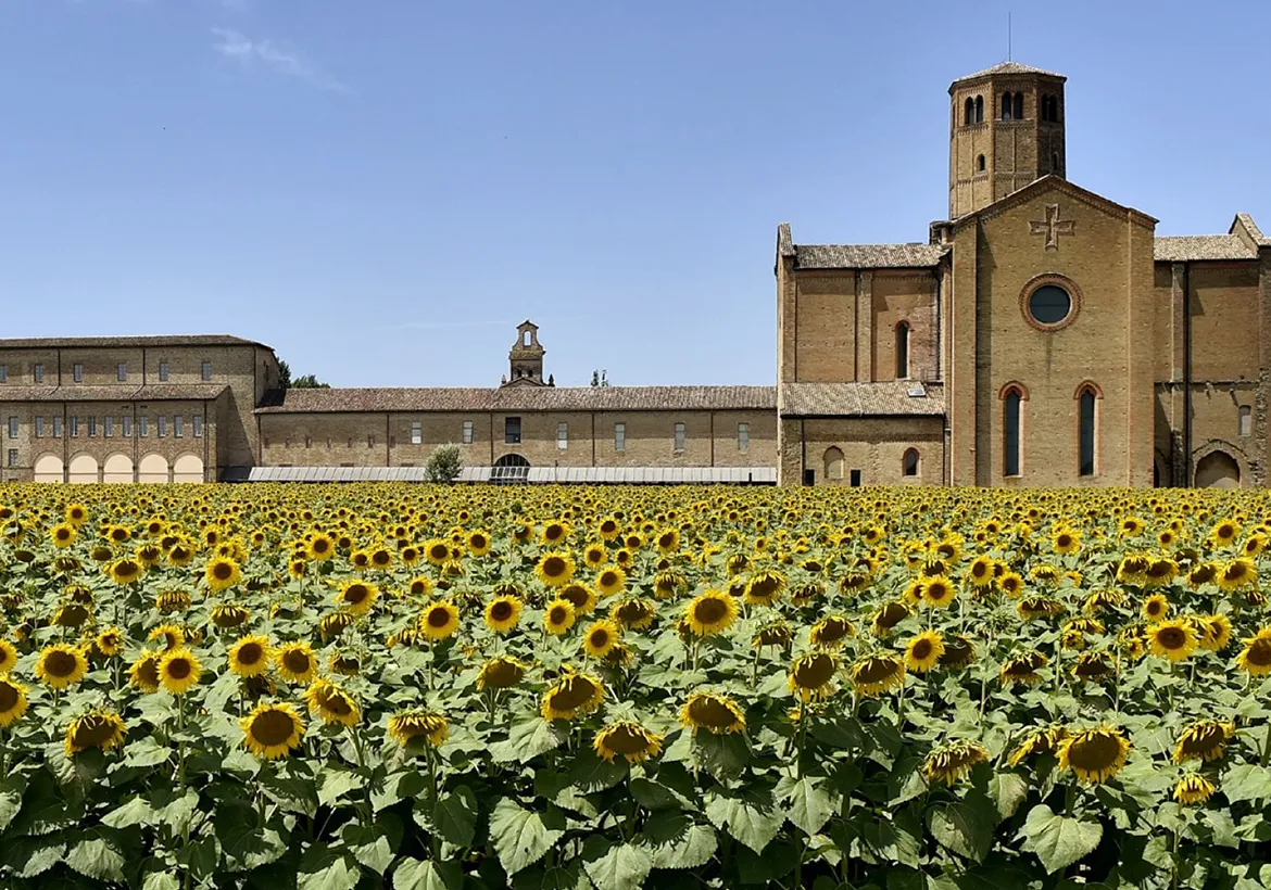 LA SEDUZIONE DELLA LEGALITÀ